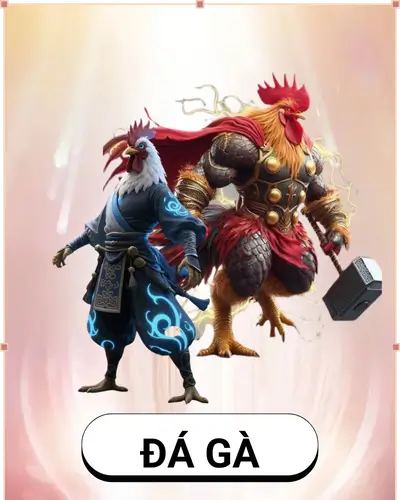 đá gà AO88 com